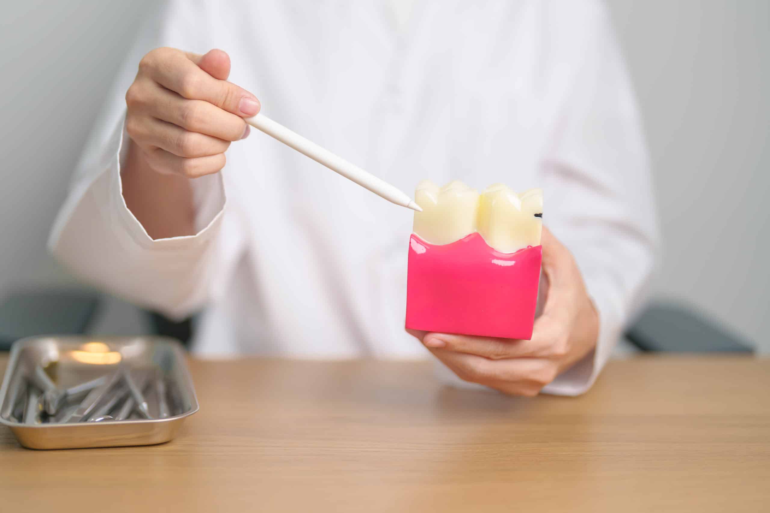 Person holding pink container with dental tools, examining contents with instrument at table.