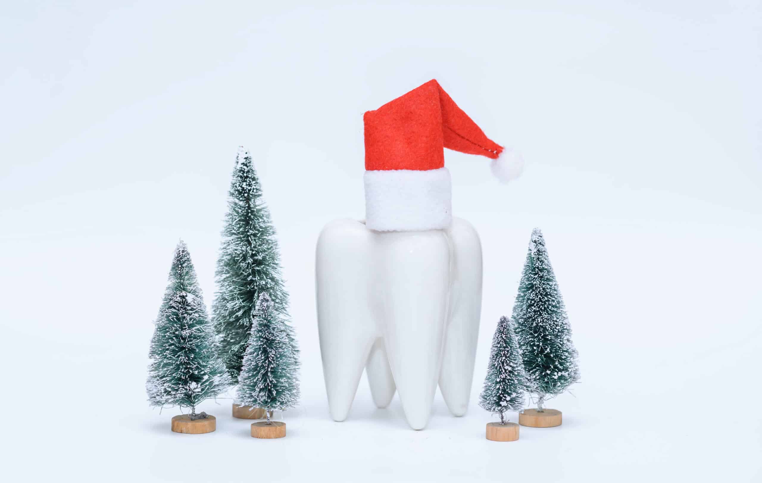 White polar bear wearing red Santa hat surrounded by miniature evergreen trees on snow.